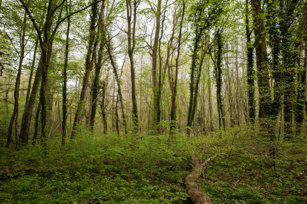 « Nous avons une autre ressource qui nous unit » – La Voix du Dedans – Épisode&nbsp;#4