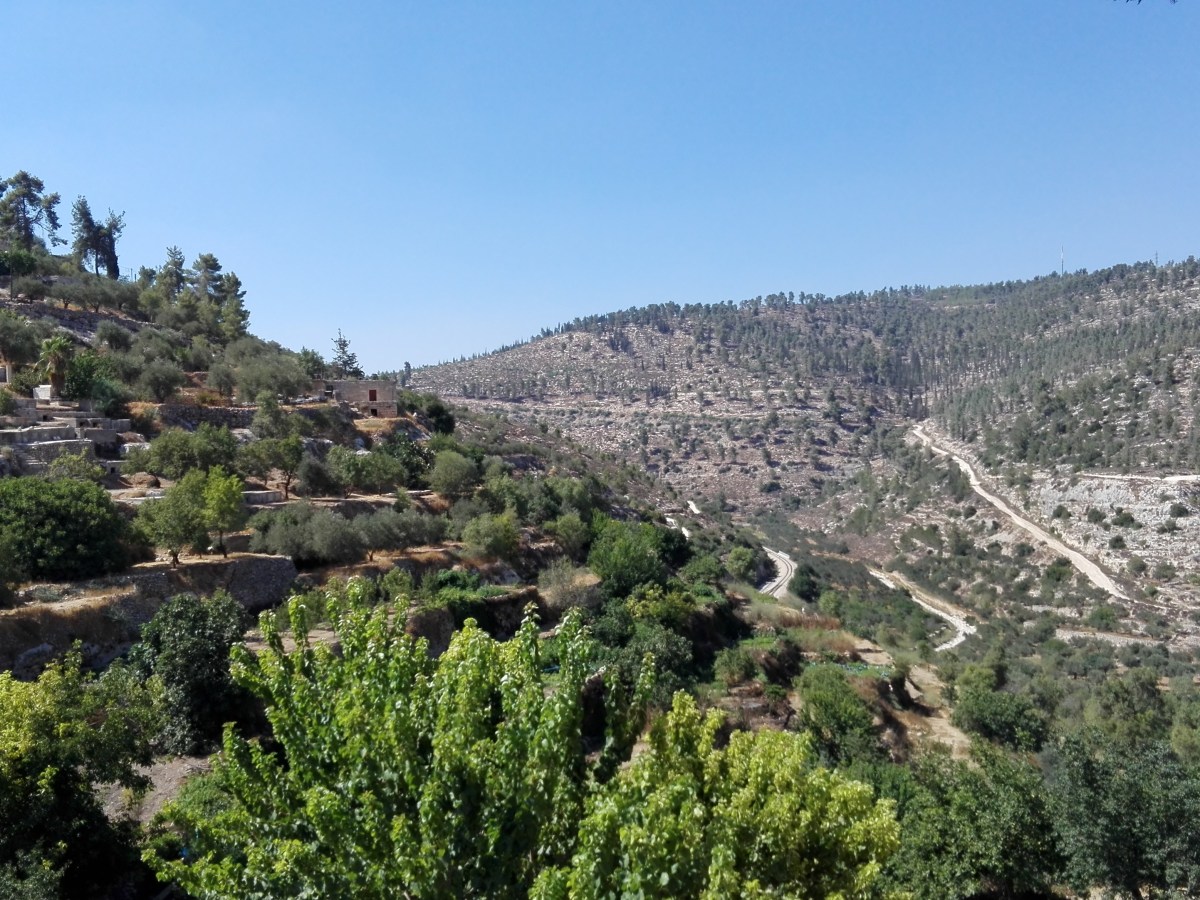 « We are part of the human family » – La Voix du Dedans – Épisode&nbsp;#5