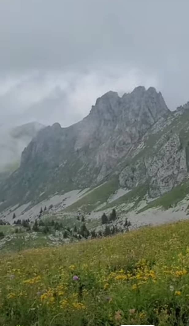 Le rôle de la confiance pour nourrir le dialogue dans les conflits&nbsp;armés